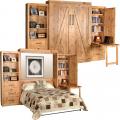 BD P28 Pier Wall-Bed-Queen-Rustic-Alder-Custom-Wood-Murphy-Beds-Custom-BARNDOOR-W-Q-[BD]V.jpg